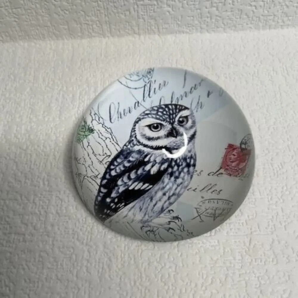 Vintage Art Glass Owl Print Living Wisdom Dome Round‎ Paperweight 1.3